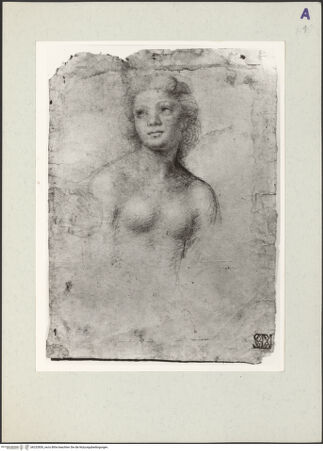 Vorderseite von bh232830_recto