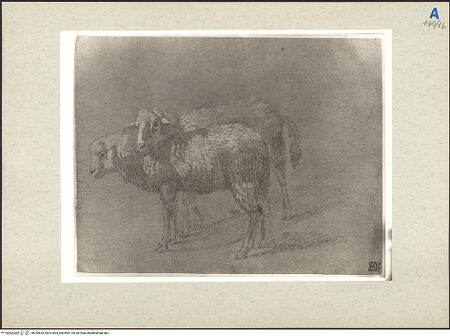 Vorderseite von bh232833_recto