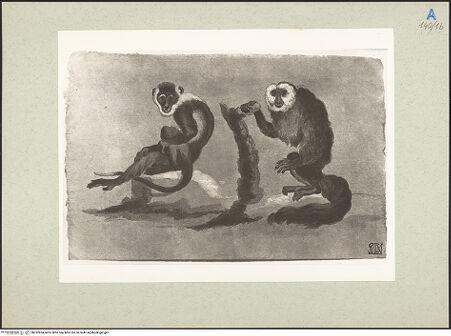 Vorderseite von bh232834_recto