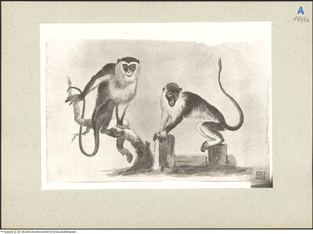 Vorderseite von bh232835_recto