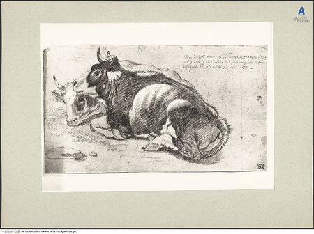 Vorderseite von bh232836_recto