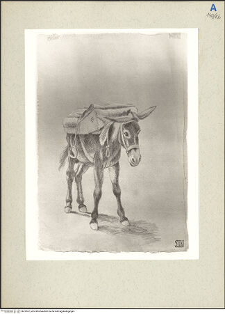 Vorderseite von bh232837_recto