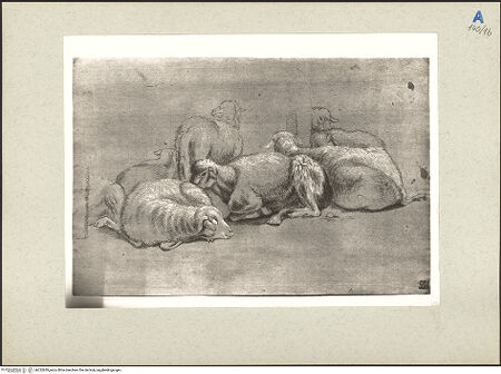 Vorderseite von bh232839_recto