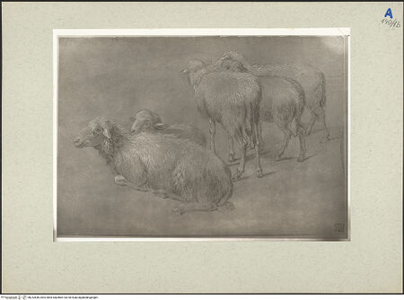 Vorderseite von bh232840_recto