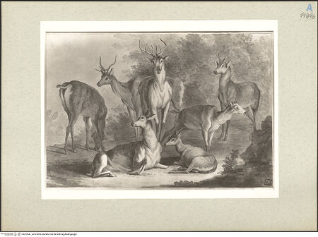 Vorderseite von bh232841_recto