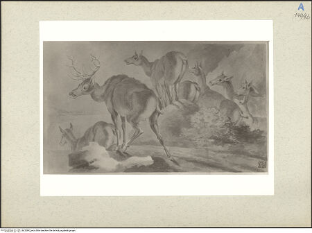 Vorderseite von bh232842_recto