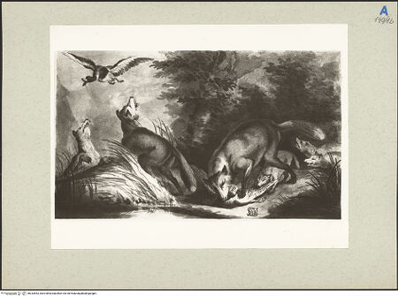 Vorderseite von bh232843_recto