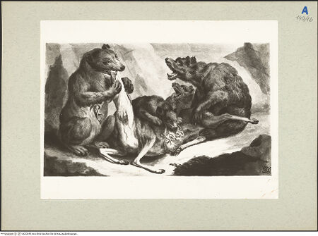 Vorderseite von bh232844_recto