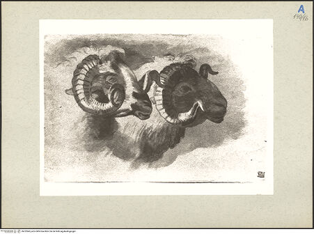 Vorderseite von bh232845_recto