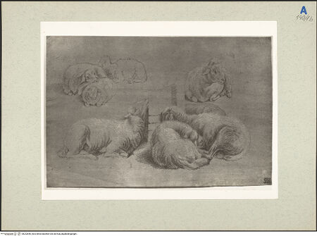 Vorderseite von bh232846_recto