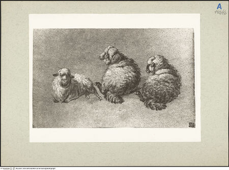 Vorderseite von bh232847_recto