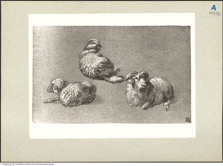 Vorderseite von bh232848_recto