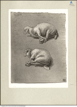 Vorderseite von bh232849_recto