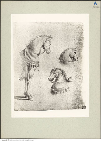 Vorderseite von bh232850_recto