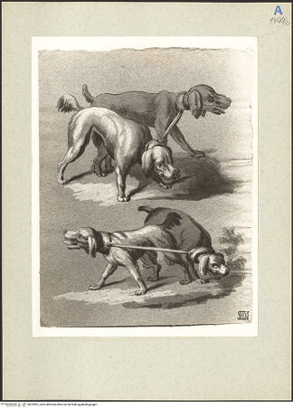 Vorderseite von bh232851_recto