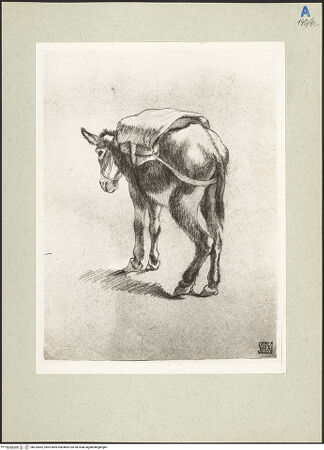 Vorderseite von bh232852_recto