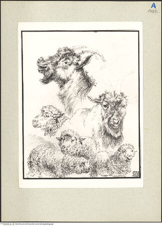 Vorderseite von bh232853_recto