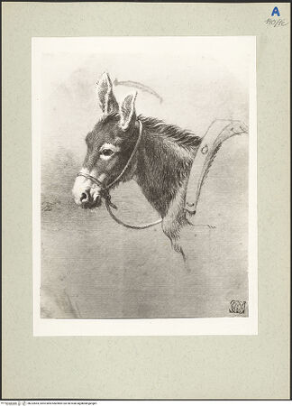 Vorderseite von bh232854_recto