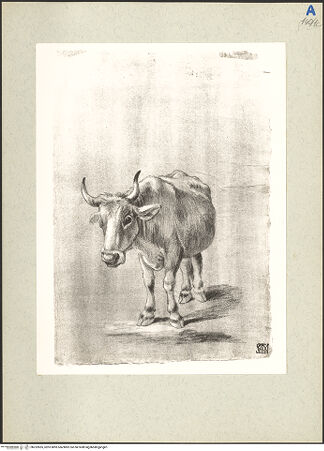 Vorderseite von bh232855_recto