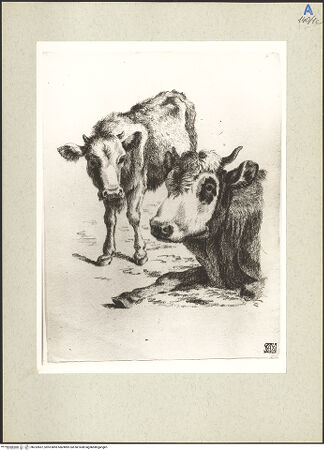 Vorderseite von bh232857_recto