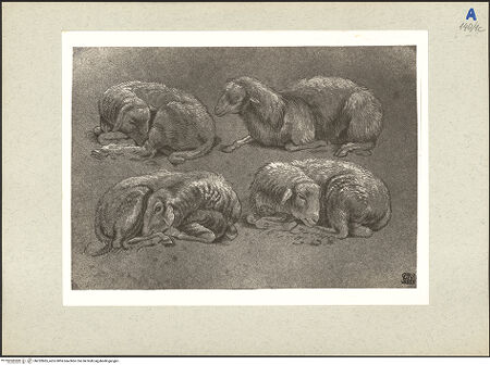 Vorderseite von bh232865_recto