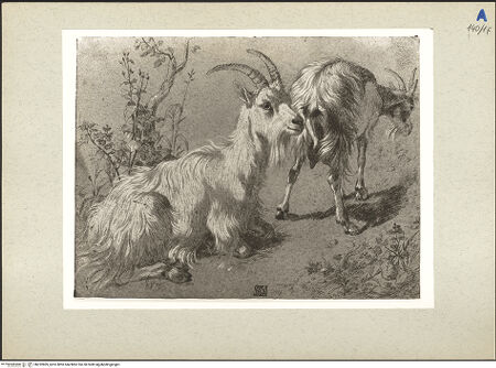 Vorderseite von bh232869_recto