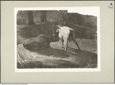 Vorderseite von bh232870_recto