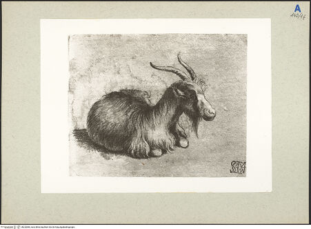 Vorderseite von bh232880_recto