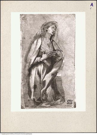 Vorderseite von bh232889_recto