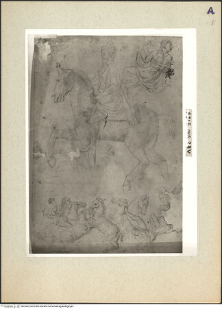 Vorderseite von bh232892_recto