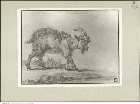 Vorderseite von bh232895_recto