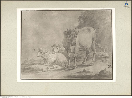 Vorderseite von bh232896_recto