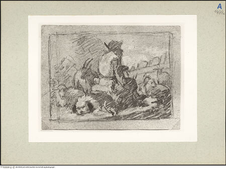 Vorderseite von bh232899_recto