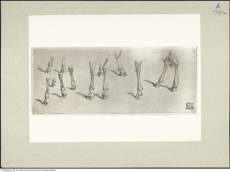 Vorderseite von bh232900_recto