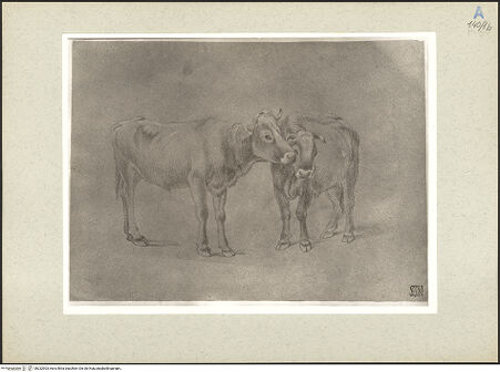 Vorderseite von bh232903_recto