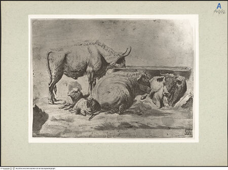 Vorderseite von bh232904_recto