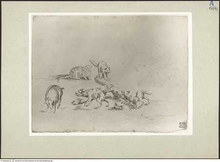 Vorderseite von bh232955_recto