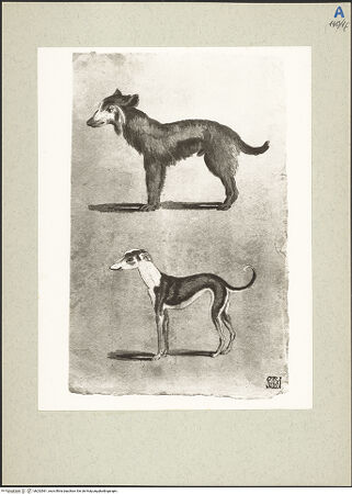 Vorderseite von bh232961_recto