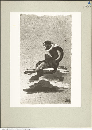 Vorderseite von bh232962_recto