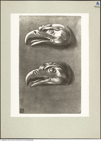 Vorderseite von bh232964_recto