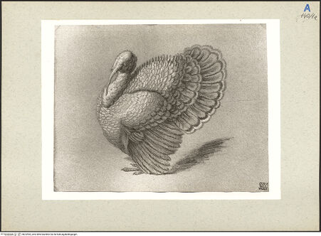 Vorderseite von bh232965_recto