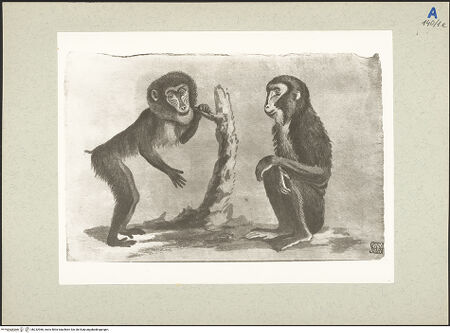 Vorderseite von bh232966_recto