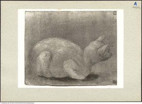 Vorderseite von bh232969_recto