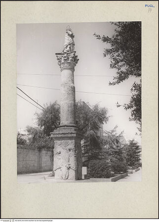 Vorderseite von bh233053_recto