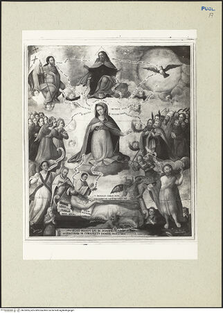 Vorderseite von bh233095_recto