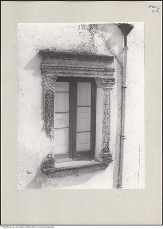 Vorderseite von bh233162_recto