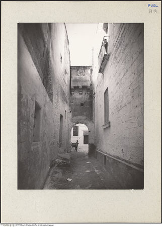 Vorderseite von bh233164_recto