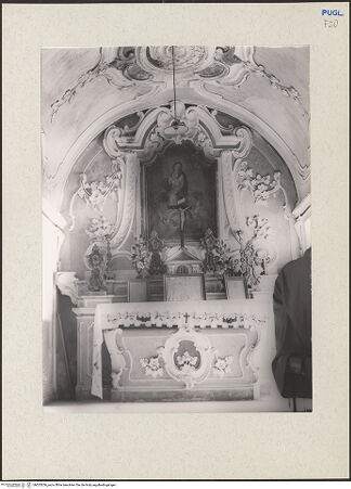 Vorderseite von bh233206_recto