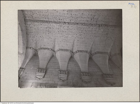 Vorderseite von bh233241_recto