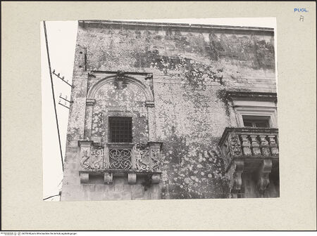 Vorderseite von bh233244_recto